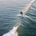 Daryl Gross - Facebook