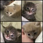 @_daryl_hardy_ - Instagram