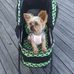 Daryl Hardy - Facebook