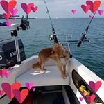 Daryl Harris - @darylharris2561 - Instagram