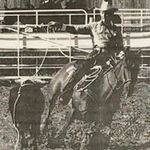 Daryl Hatch - @rippletcowboy - Instagram