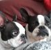 Daryl Haynes - Facebook