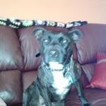 Daryl Haynes - @pumpkcan - Instagram
