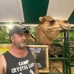 Daryl Healey - @darylhealey - Instagram