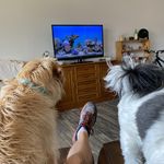 Daryl Heinitz - @darylheinitz - Instagram