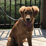 Daryl Hennings - @henningsdaryl - Instagram