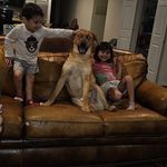 Daryl Hernandez - @daryl_hernandez - Instagram