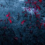 Daryl Hessel - @darylhessel9395 - Instagram
