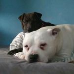 Daryl Higgins - @daryl.higgins - Instagram