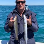 Daryl Higginson - @higginsondaryl - Instagram