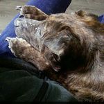 @darylhiggins02 - Instagram