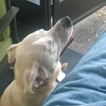 Daryl Hobson - @dhobson700000000 - Instagram