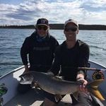 Daryl Hornberger - @darylhornberger - Instagram