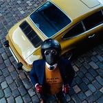 Daryl van Horne - @darylvan.horne - Instagram