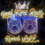 Daryl Howard - @realkingbully27 - Instagram