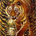 Daryl Howard - Facebook