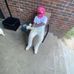 Dorrell Howard - Facebook