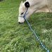 Daryl Hurd - Facebook