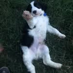 Daryl Hurley - @daryl.hurley - Instagram