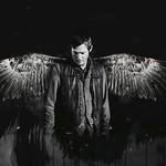 Daryl Dixon is my husband - @the.walking.dead_darylswings - Instagram