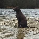Daryl Hutton - @darylhutton - Instagram