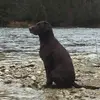 darylhutton76 - @darylhutton76 - TikTok