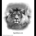 Darryl Hyde - Facebook