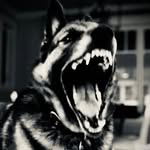 Daryl hyde - @xrayhyde - Instagram