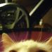Daryl Inman - Facebook