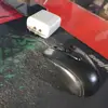 Ivory Daryl - @ivory.daryl - TikTok