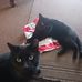 Darryl Jenkins - Facebook