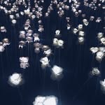 Daryl Knight - @darylknight65 - Instagram