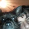 Daryl Lamb - @daryllamb2 - TikTok
