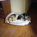 Daryl Leonard - Facebook