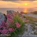 Daryl Leonard - Facebook