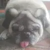 Daryl Lund - @daryl.lund - TikTok