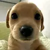 Mark Daryl - @mark.daryl0 - TikTok