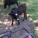 Daryl Matthews - Facebook