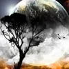 Daryl McLeod - @daryl.mcleod - TikTok
