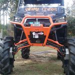Darryl Mcnaughton - @swampcricket - Instagram