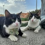daryl & merle - @darylxmerle - Instagram