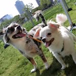 @daryl_merle_kero - Instagram