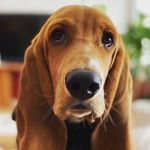 Daryl Buford Miles - @daily_daryl - Instagram