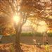 Dariel Mintal - Facebook