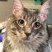 Daryl Murdock - Facebook