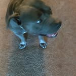 Daryl Murrie Jr. - @mr.bigears1 - Instagram