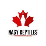 Darryl Nagy - @nagy.reptiles - Instagram