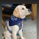 Daryl Nathanson - @daryl_nathanson - Instagram