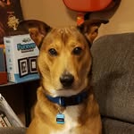 Daryl Navarro - @feral_daryldog - Instagram