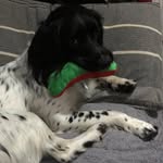 Darryl Newman - @dazza1774 - Instagram